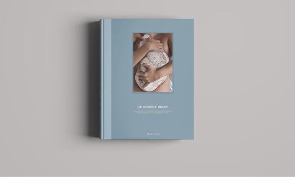 Boek "De Gemene Deler"